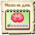 Мозги на день