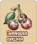Изумрудное сердце