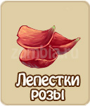 Лепестки розы