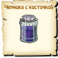 Черника с косточкой
