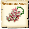 Чесночная лилия