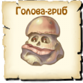 Голова гриб