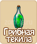 Компас
