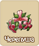 Костяная нога