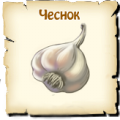 Чеснок, вид семян