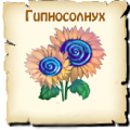 Гипносолнух, вид семян