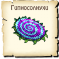 Гипносолнух
