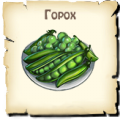 Горох