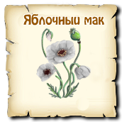 Яблочный мак