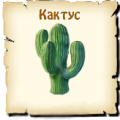 Кактус, вид семян