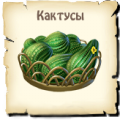 Кактус