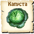 Капуста, вид семян