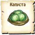 Капуста