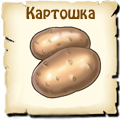 Картошка, вид семян