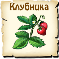 Клубника, вид семян