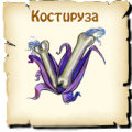 Костируза, вид семян