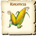 Кукуруза, вид семян