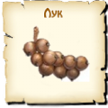 Лук