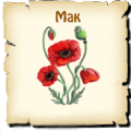 Мак, вид семян