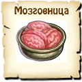Мозговница