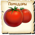 Помидоры, вид семян