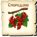 Смородина, вид семян
