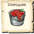 Смородина