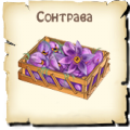 Сонтрава