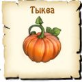 Тыква, вид семян
