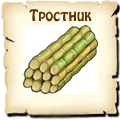 Тростник