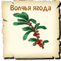 Волчья ягода, вид семян