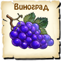 Виноград, вид семян