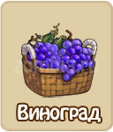 Виноград