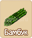 Костируза