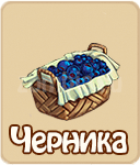 Костируза