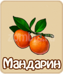 Костяная нога