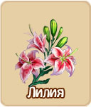 Семена зомби ферма