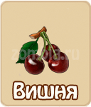 Костяная нога