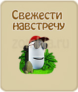 прохождение игры зомби ферма, прохождение квестов зомби ферма