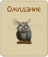 прохождение игры зомби ферма, прохождение квестов зомби ферма