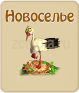 прохождение игры зомби ферма, прохождение квестов зомби ферма